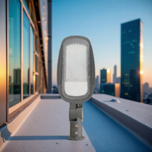 The modern Neo TR-S05 LED Street Light with a die-cast aluminum body and screw mounting.