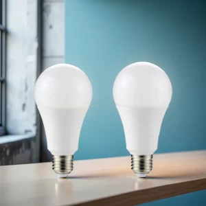 RB-05 Series A-Shape LED Bulbs for versatile general lighting